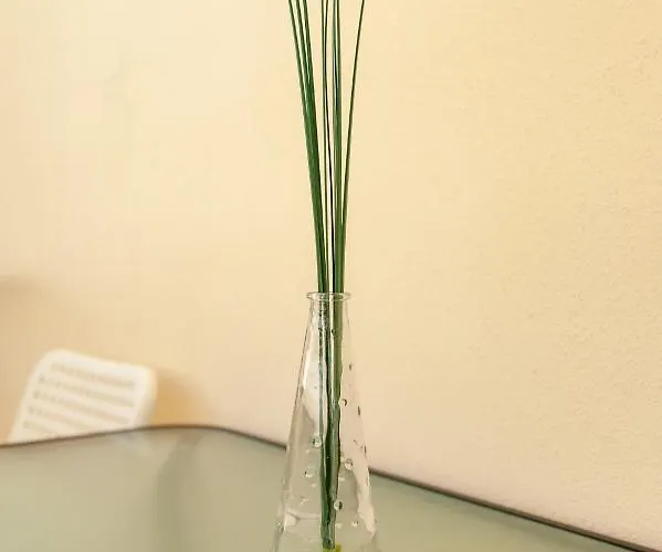 Aegean Studio By The Sea Ii Daire