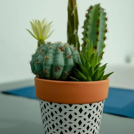 Aegean Studio By The Sea Ii Peraía